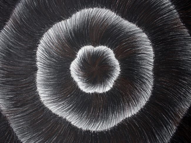 Nebula
